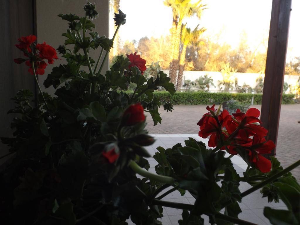 Villetta Del Salento Exclusive B&B Gallipoli Eksteriør bilde